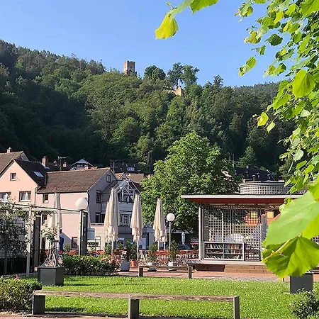 Blaues Haeuschen * Freudenberg am Main